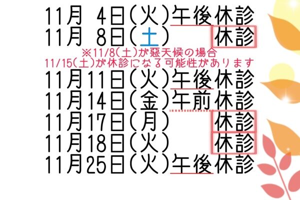 11月休診日のお知らせ✨