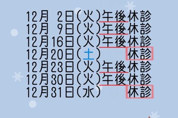 12月休診日のお知らせ📢
