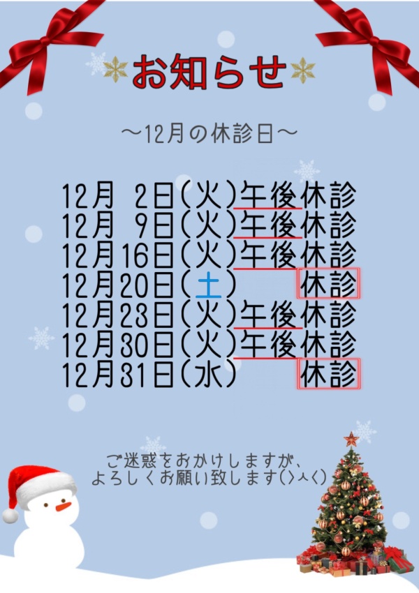 12月休診日のお知らせ📢