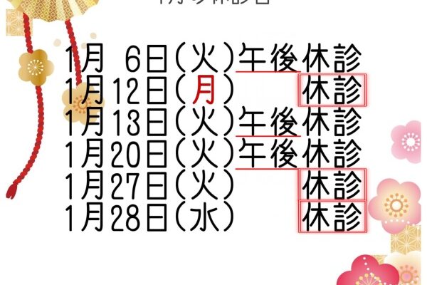1月休診日のお知らせ📢